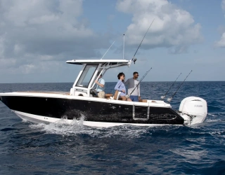 robalo